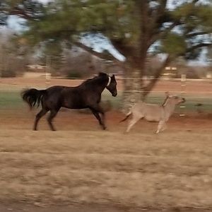 Meet your Posher, Kylie